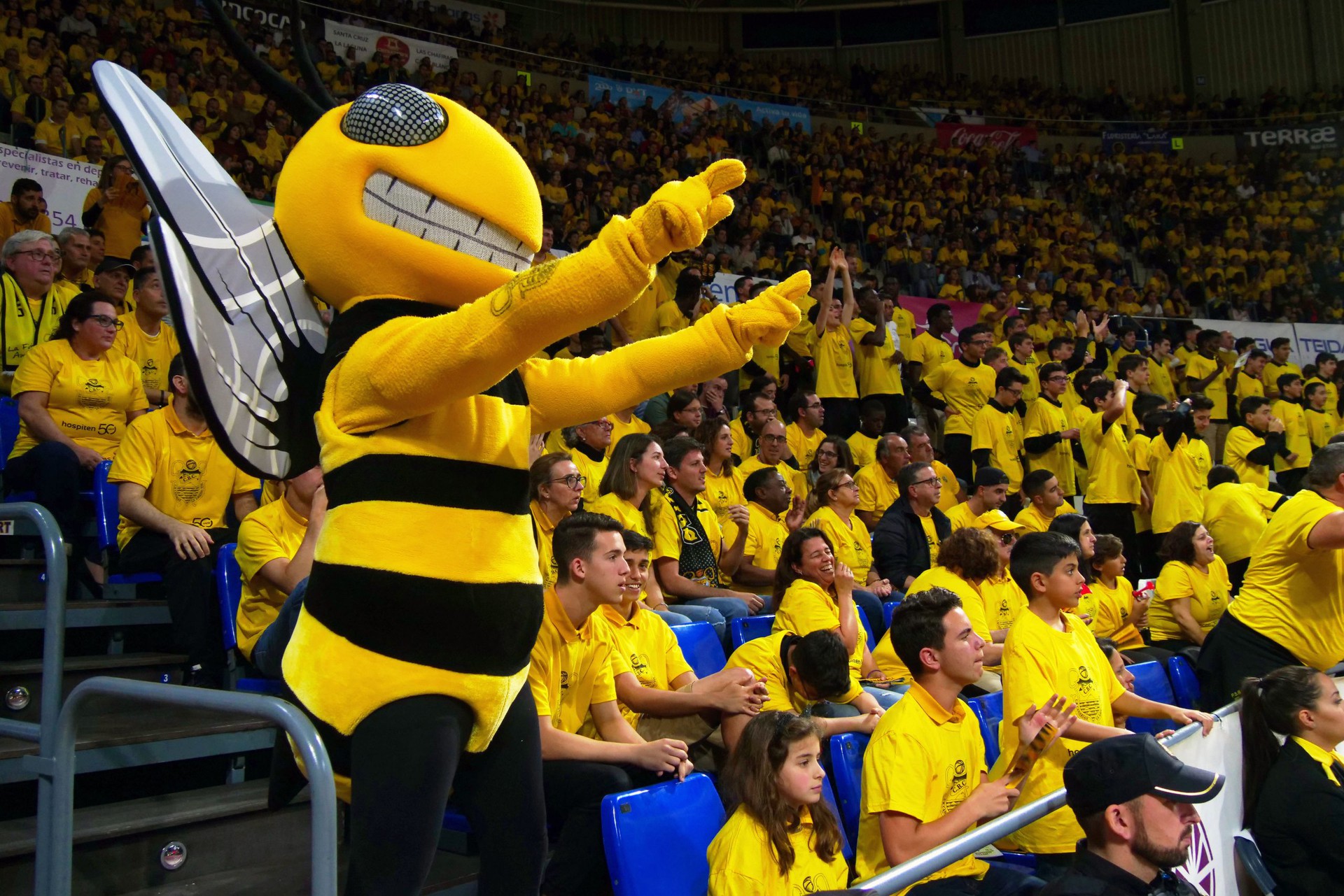 ¡Vamos canarias!
